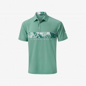 Mizuno MIZUNO CALI STRIPE POLO Green | AU_MZN16686
