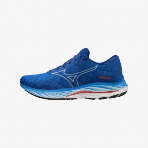 Mizuno WAVE RIDER 26 WIDE Blue | AU_MZN65890